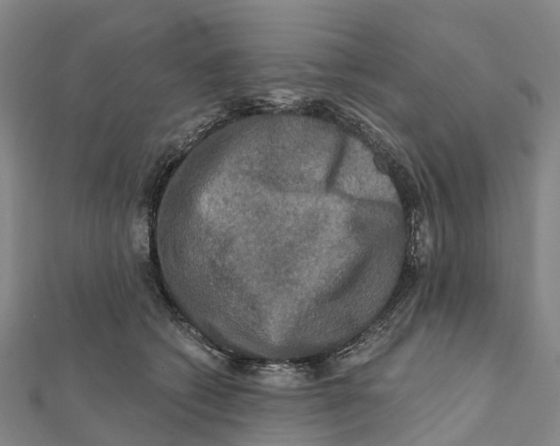 X0000112100562200909011127