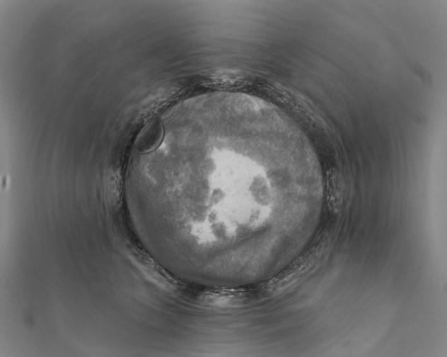 X0000112100563200909011127
