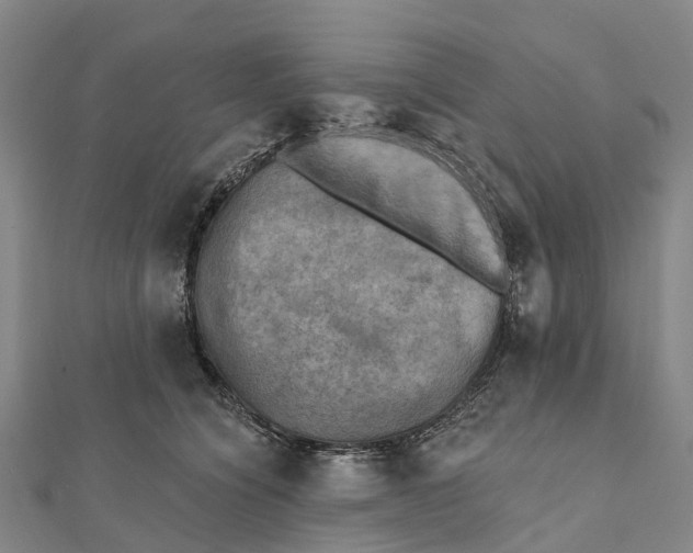 X0000112100564200909011127