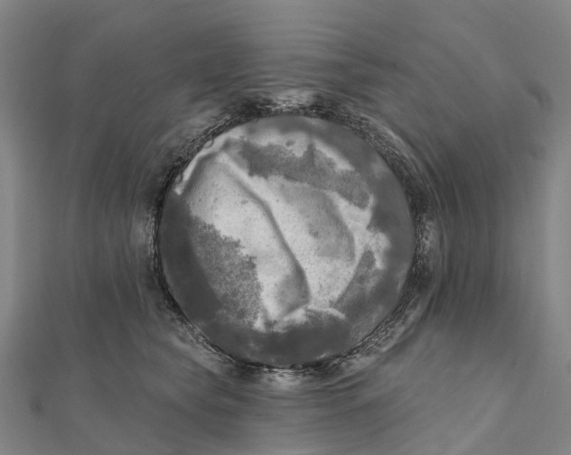 X0000112100565200909011127