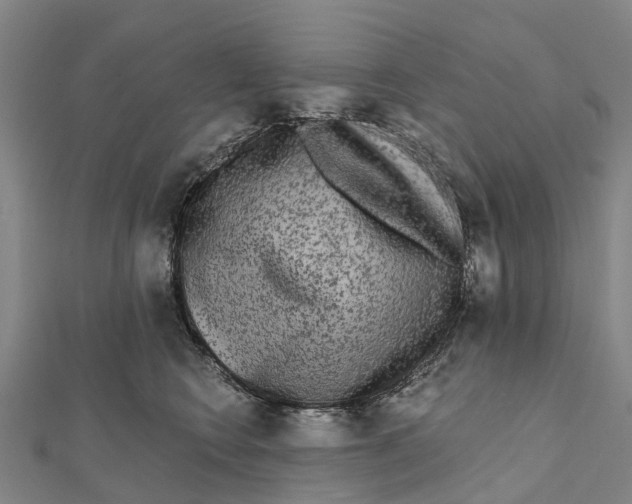 X0000112100566200909011127
