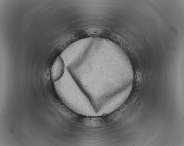 X0000112100567200909011127