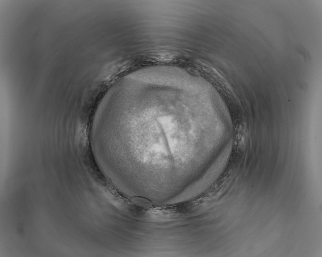 X0000112100568200909011127