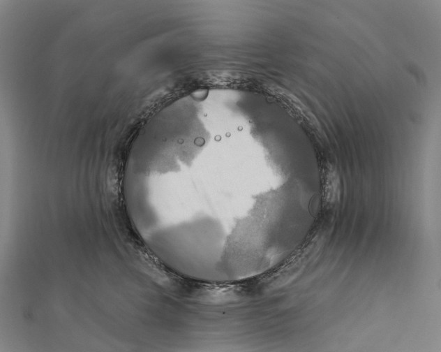 X0000112100569200909011127
