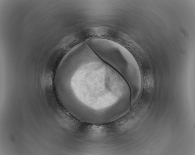 X0000112100570200909011127
