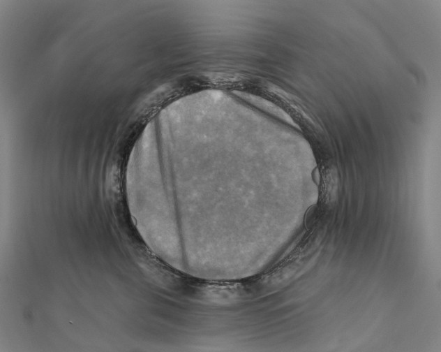 X0000112100571200909011127