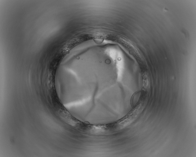 X0000112100573200909011127