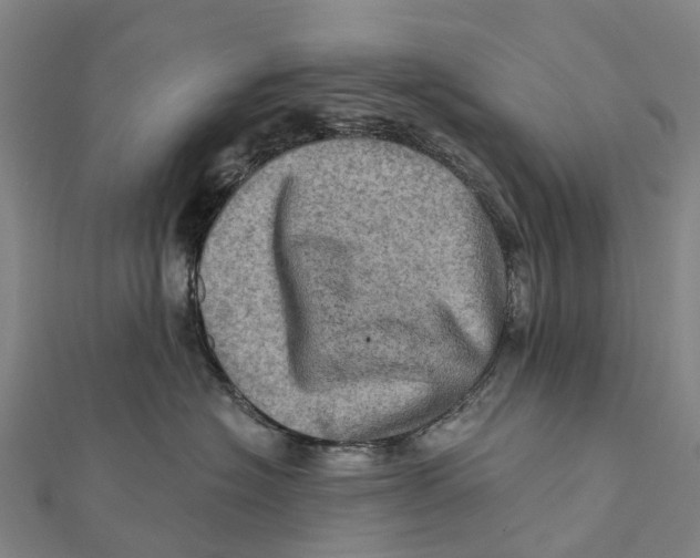 X0000112100574200909011127