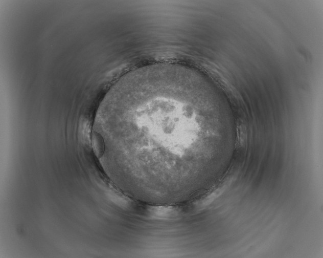 X0000112100575200909011127