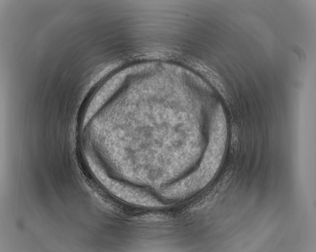 X0000112100578200909011126