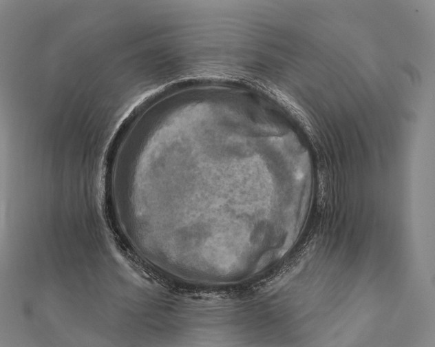 X0000112100580200909011126