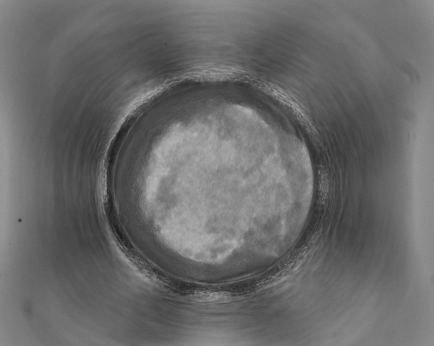 X0000112100582200909011126