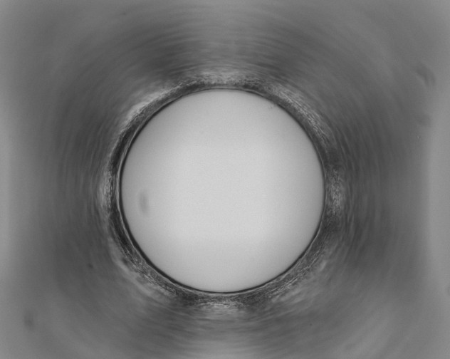 X0000112100583200909011126