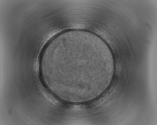 X0000112100584200909011126