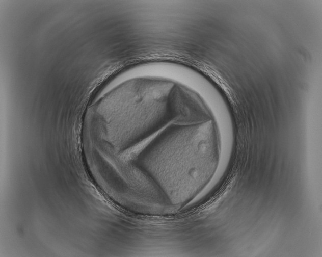 X0000112100585200909011126