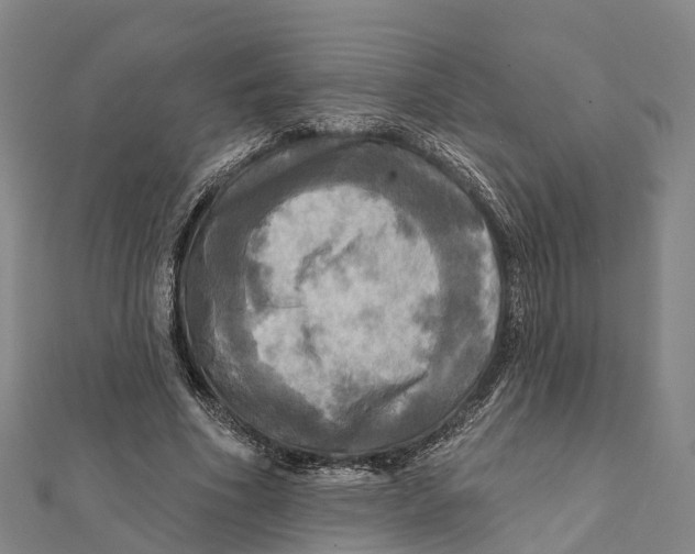 X0000112100586200909011126