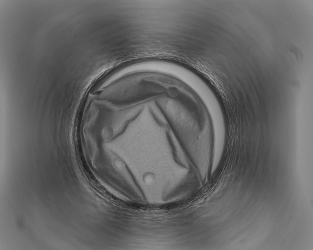 X0000112100587200909011126