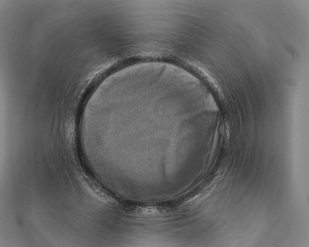 X0000112100588200909011126
