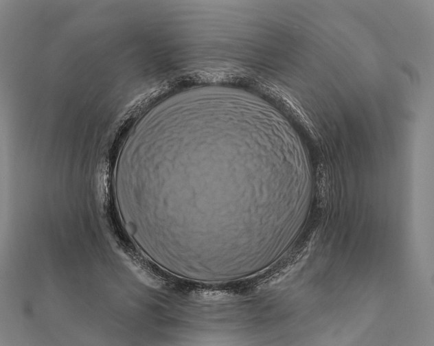 X0000112100590200909011126