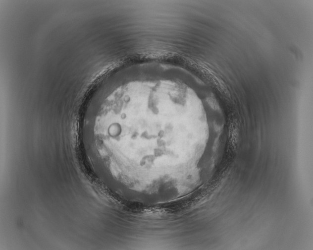 X0000112100591200909011126