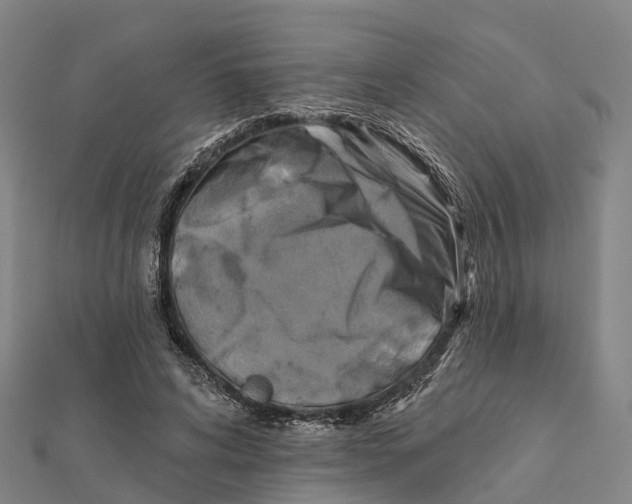X0000112100592200909011126