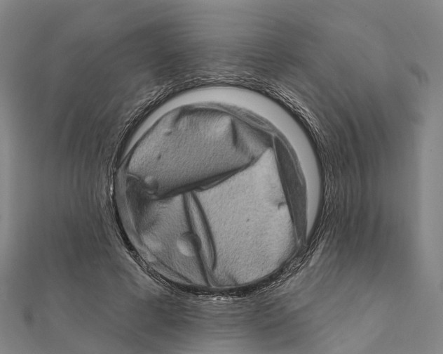 X0000112100593200909011126