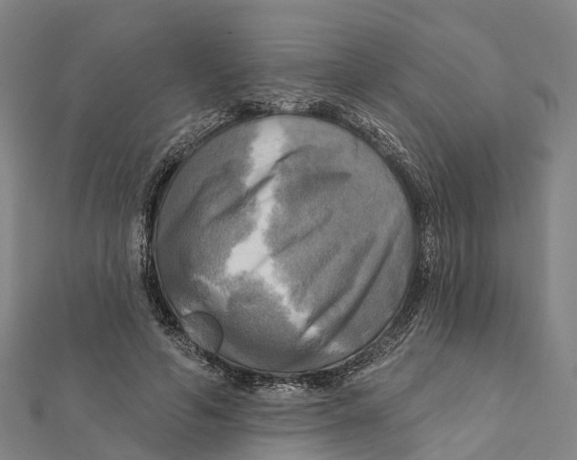 X0000112100594200909011126