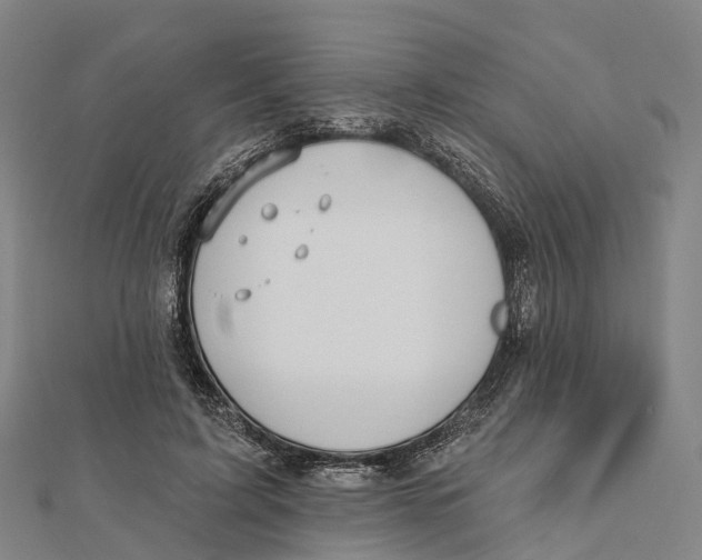 X0000112100595200909011126