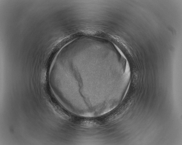 X0000112100596200909011126