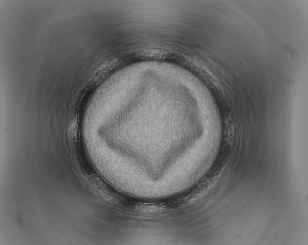 X0000112100597200909011126