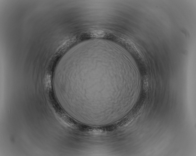 X0000112100598200909011126