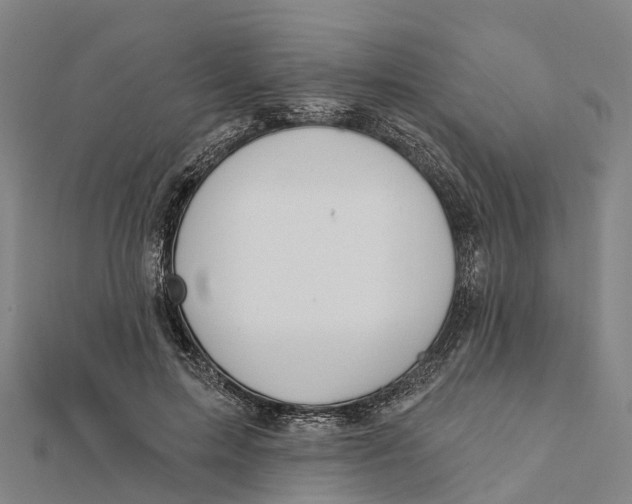 X0000112100599200909011126