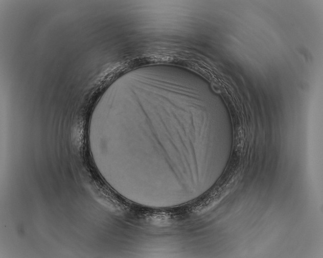 X0000112100600200909011126