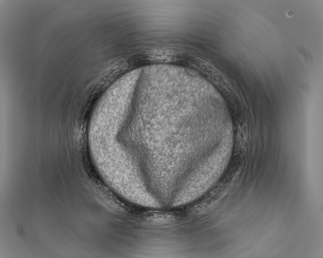 X0000112100601200909011126