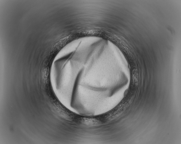 X0000112100605200909011126