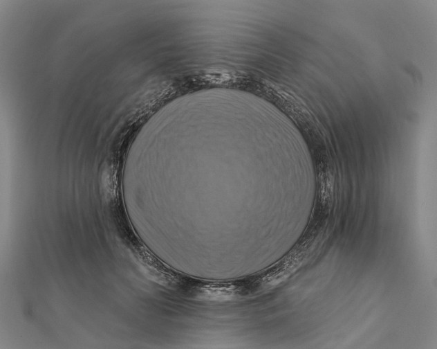 X0000112100606200909011126