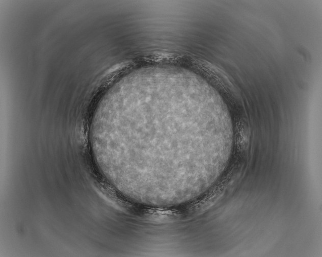 X0000112100607200909011126