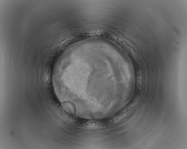 X0000112100608200909011126