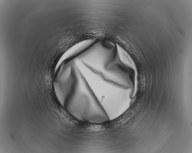 X0000112100609200909011126