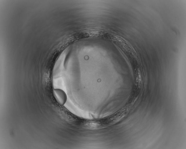 X0000112100610200909011126
