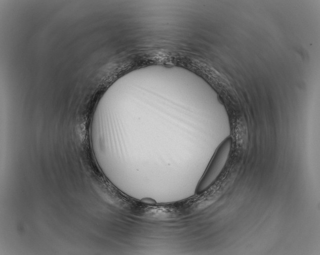 X0000112100611200909011126