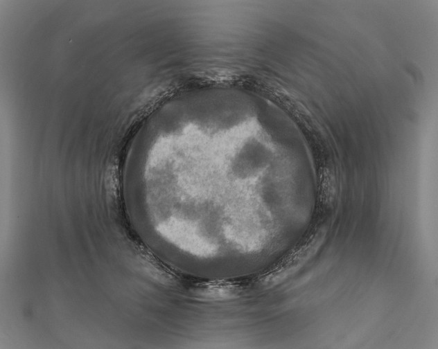 X0000112100612200909011126