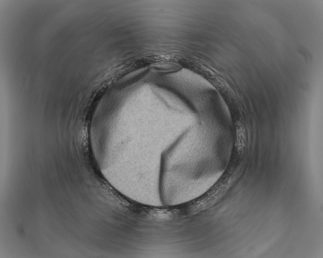 X0000112100613200909011126