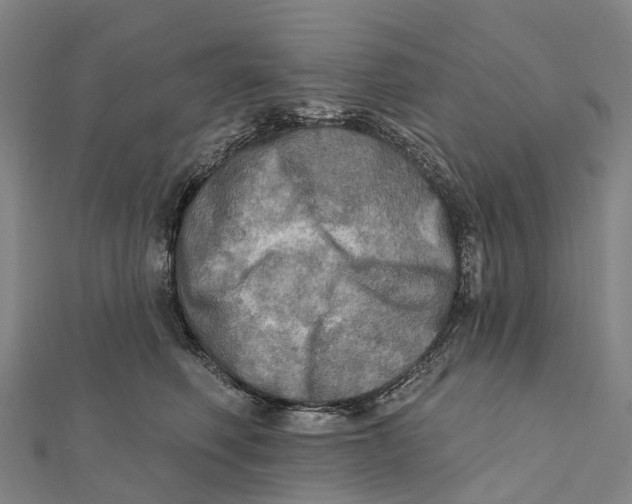 X0000112100614200909011126