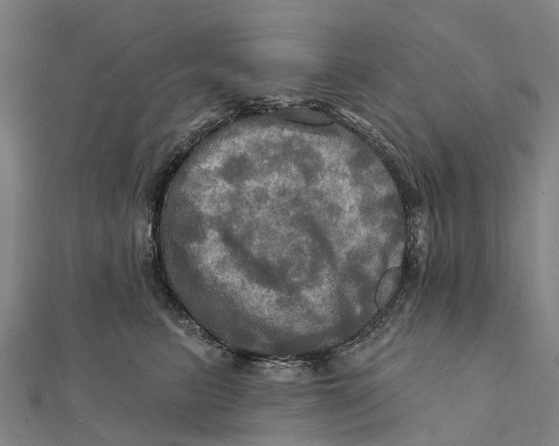X0000112100615200909011126