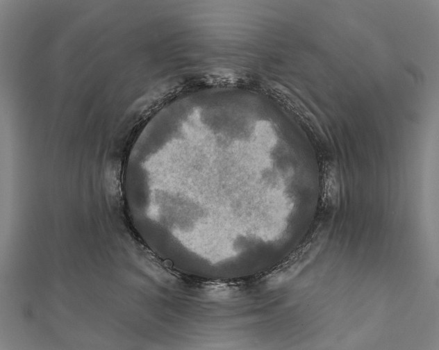 X0000112100616200909011126