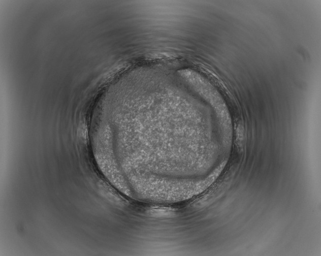 X0000112100617200909011126