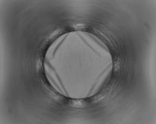X0000112100618200909011126