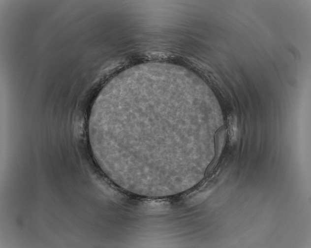 X0000112100619200909011126