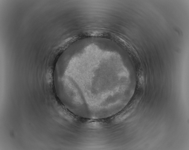 X0000112100620200909011126